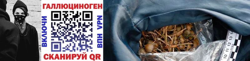 блэк спрут сайт  Всеволожск  Псилоцибиновые грибы GOLDEN TEACHER 
