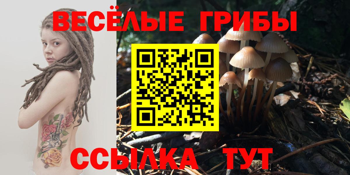 Галлюциногенные грибы мухоморы Всеволожск