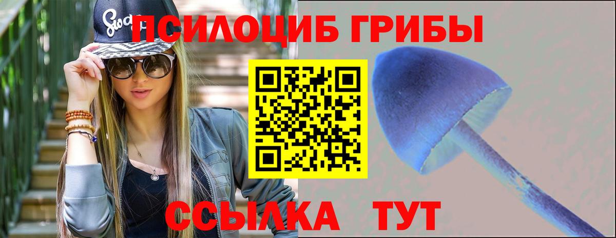 Псилоцибиновые грибы Psilocybe  купить наркотики цена  Всеволожск  Вход с VPN 